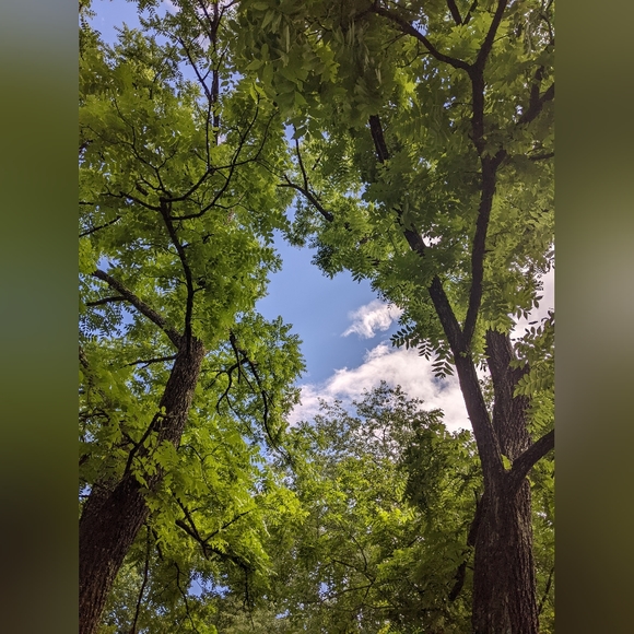 Welcome To My Artisan Closet - Picture 5 of 16